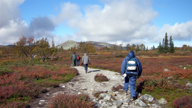 Fjällvandrare